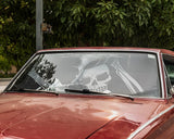 Car Sunshade